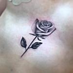 sternam_rose_by_Steve_crane_tattoo