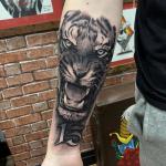 Steve_crane_tattoo_tiger_13
